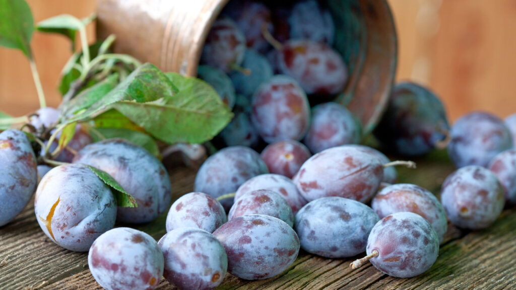Fruta deliciosa encanta pelo sabor e simplicidade no cultivo
