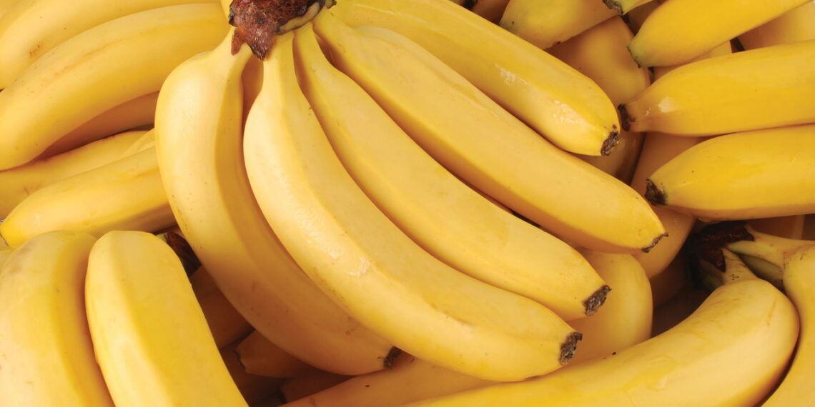 Cultive a fruta mais gostosa e consumida do mundo de forma simples e rápida!