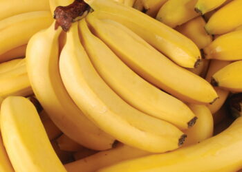 Cultive a fruta mais gostosa e consumida do mundo de forma simples e rápida!