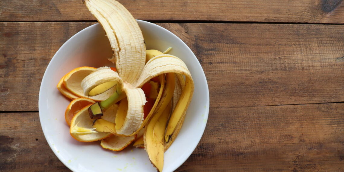 Como usar cascas de frutas para deixar o solo mais fértil naturalmente