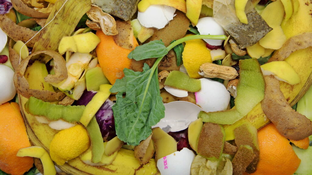 Como usar cascas de frutas para deixar o solo mais fértil naturalmente