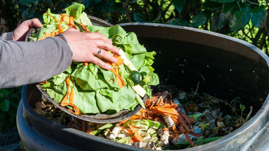 Como reaproveitar restos da cozinha para adubar suas plantas