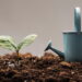 Essas são as plantas mais fáceis para você começar a cultivar