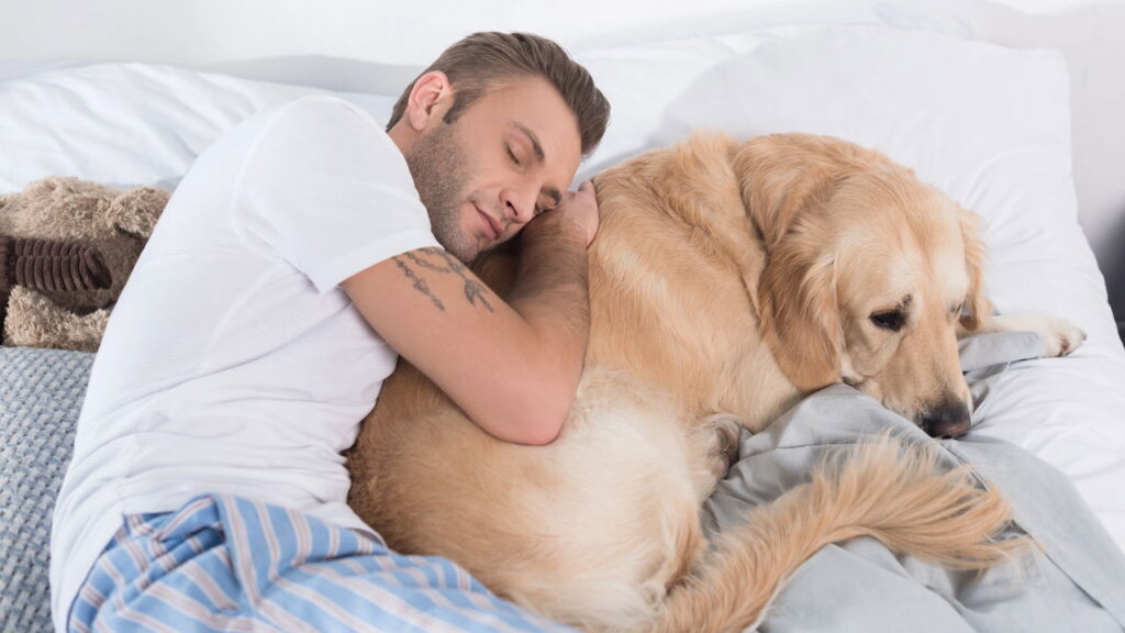 Você deve dividir a cama com seu cachorro ou gato?