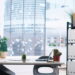 As 3 plantas que todo mundo quer na mesa de trabalho