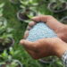 Os sinais mais claros de que sua planta precisa de fertilizante