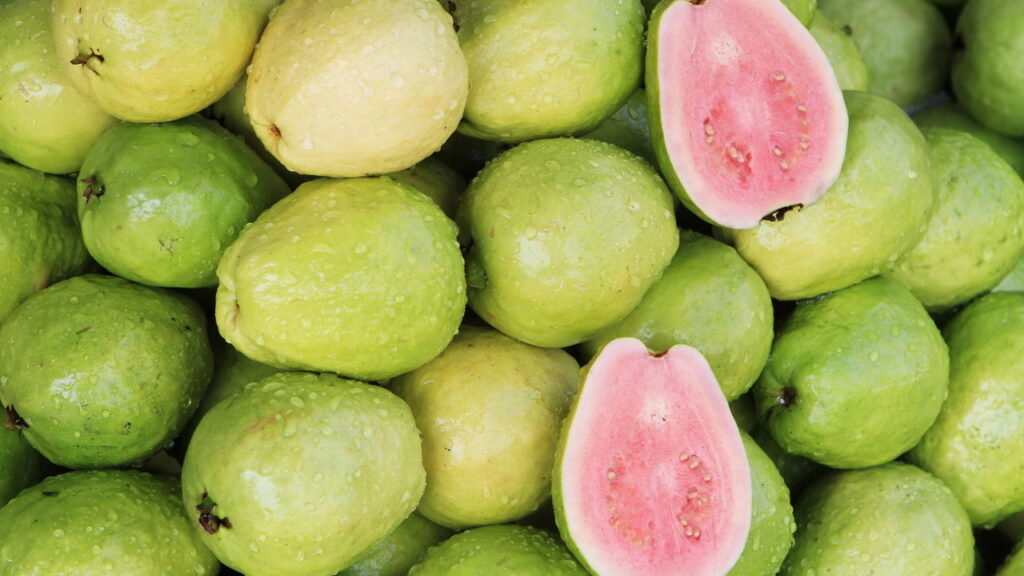As árvores ideais para colher frutas frescas sem esperar muito tempo