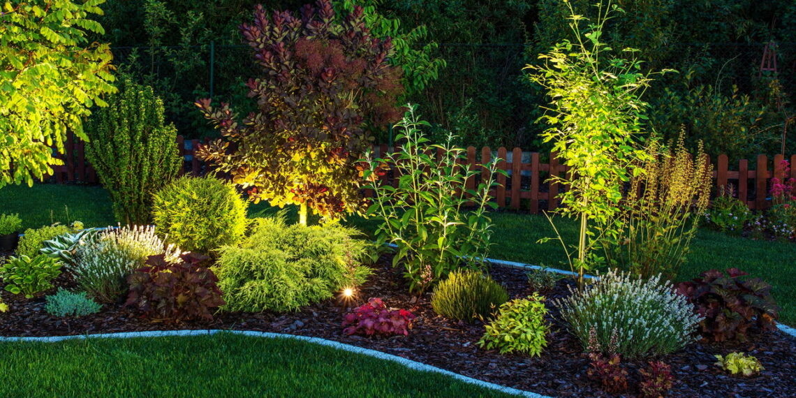 Esse é o fertilizante natural mais poderoso e barato para o jardim