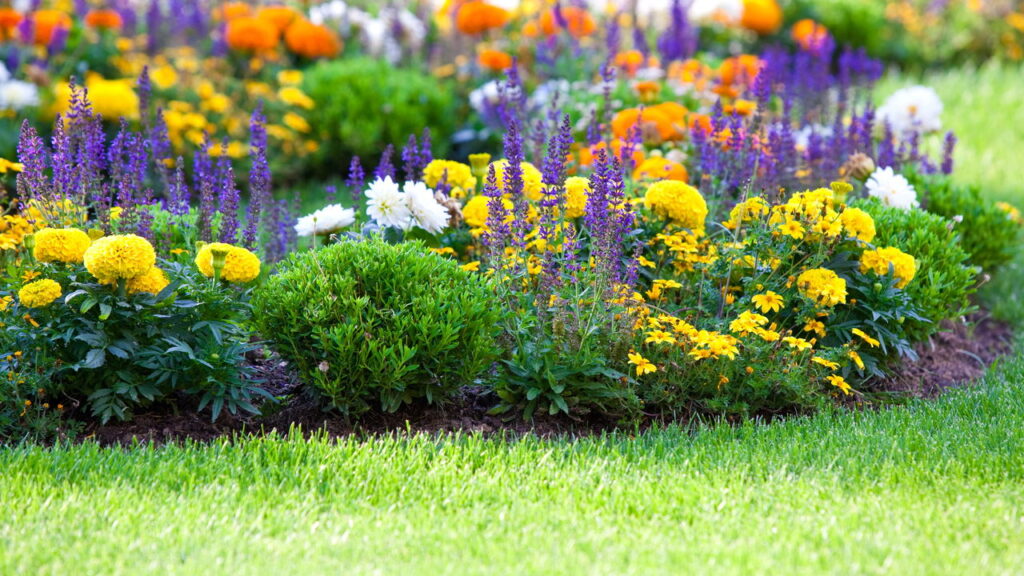 O passo a passo ideal para quem está começando a jardinar