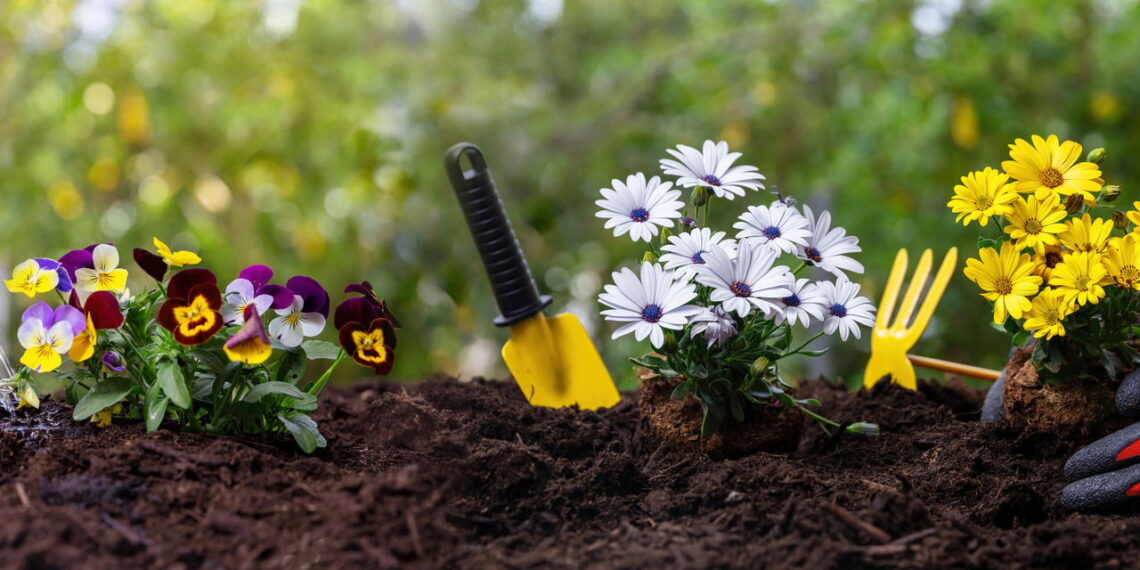 Nem lixo, nem descartável: objetos para reaproveitar na jardinagem