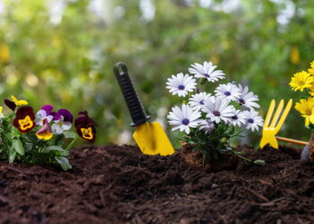 Nem lixo, nem descartável: objetos para reaproveitar na jardinagem