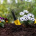 Nem lixo, nem descartável: objetos para reaproveitar na jardinagem