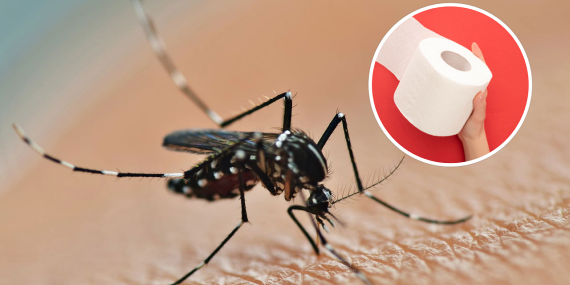 Método artesanal que combina acessibilidade e efeito imediato contra insetos