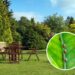 As 4 plantas para espantar cochonilhas do seu jardim