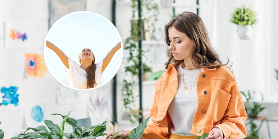 Quem cultiva essa planta em casa atrai boas energias