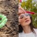 Fertilizante natural vs químico: qual deixa a planta mais saudável?
