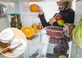 O truque caseiro que elimina o mau cheiro da geladeira em poucas horas sem gastar muito