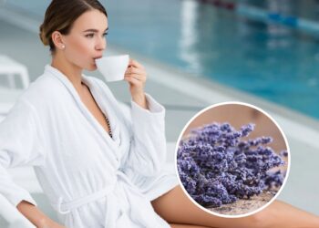 As propriedades curativas da lavanda que promovem calma e bem-estar