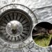 Por que restos de comida no ralo trazem pragas para a pia?
