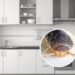 O erro na limpeza que atrai traças para o armário da cozinha