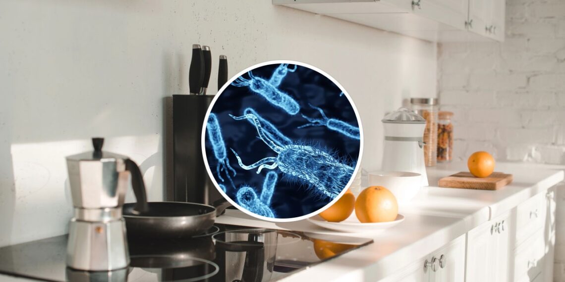 O que você toca todo dia na cozinha pode estar cheio de bactérias