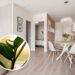 As quatro plantas de sombra que viraram moda em apartamentos pequenos