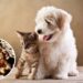 Ter pets em casa atrai pragas? A resposta pode te surpreender
