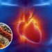 Como um ingrediente natural pode transformar sua saúde cardiovascular