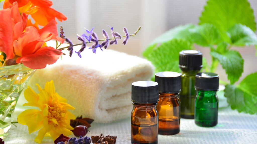 Compostos como linalol, mentol e geraniol desorientam insetos e afastam naturalmente


