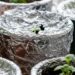 O verdadeiro motivo de usar papel alumínio nos vasos de plantas