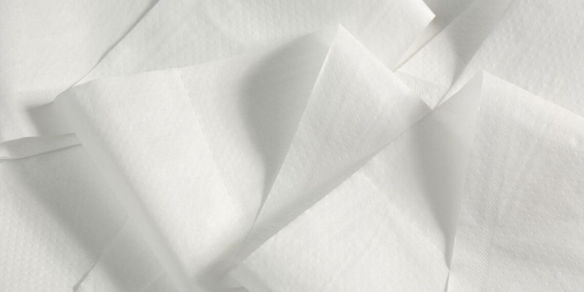 O truque com papel higiênico que espanta pragas de vez