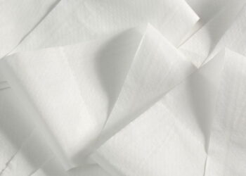 O truque com papel higiênico que espanta pragas de vez