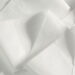 O truque com papel higiênico que espanta pragas de vez