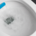 Pastilha sanitária caseira é a melhor forma de economizar no banheiro