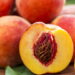 Fruta doce e macia, agora queridinha das casas brasileiras, pela rapidez no cultivo!