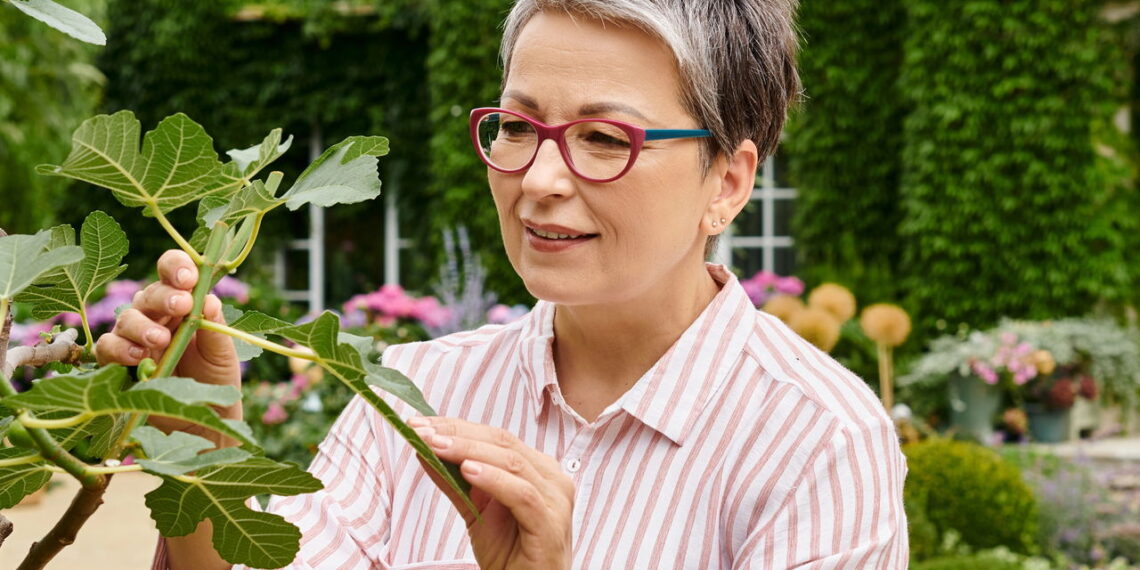 As 4 plantas resistentes para quem começa a cultivar