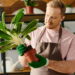 As 6 plantas que purificam o ar e renovam seu espaço individual!