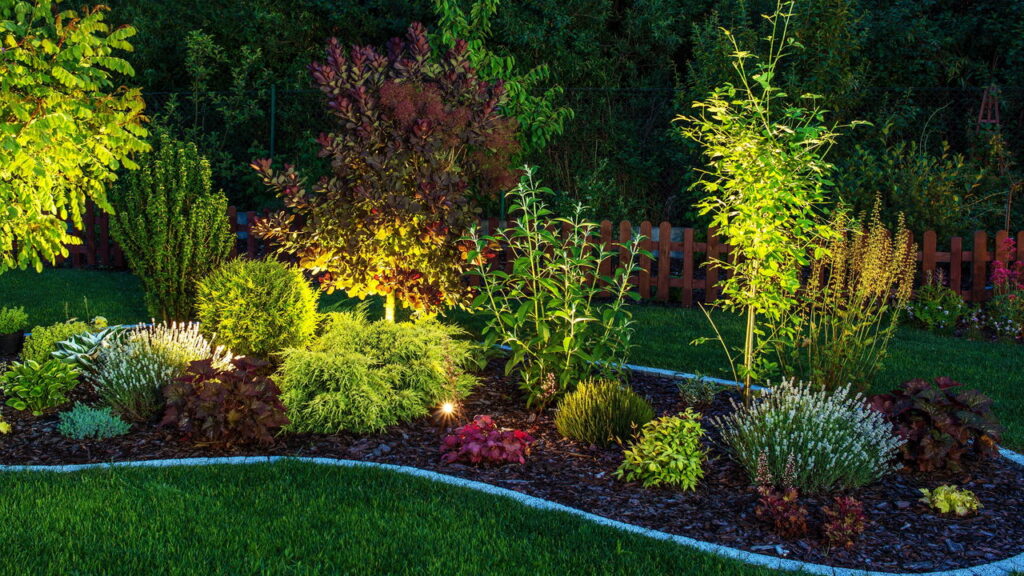 As 6 plantas que purificam o ar e renovam seu espaço individual!