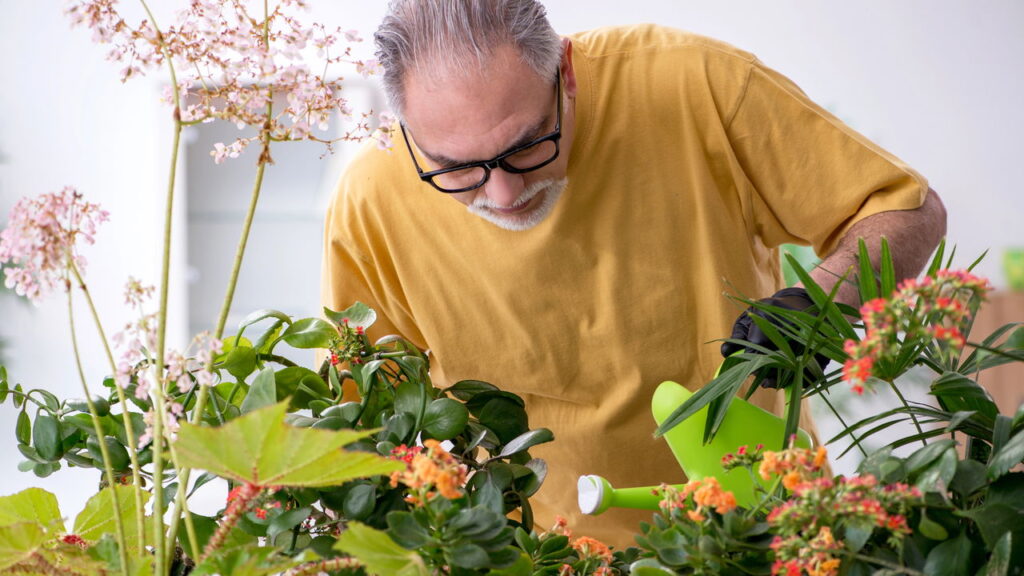 As 5 plantas perfeitas para ambientes da sua casa úmidos e escuros!