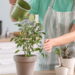 As 3 plantas que surpreendem com flores e folhagens inesperadas
