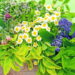 As 7 plantas medicinais que todo mundo deveria conhecer