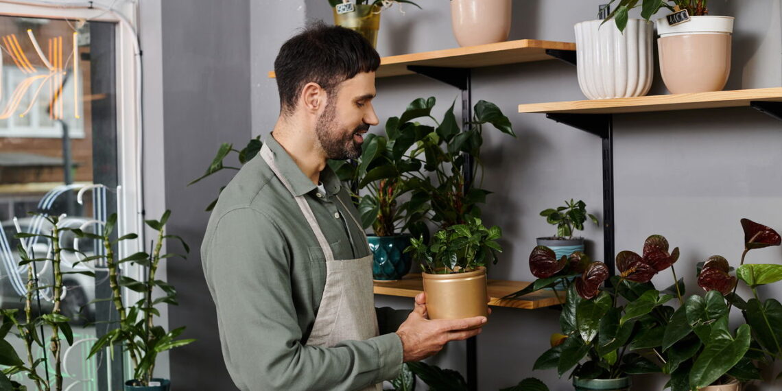 Plantas de interior que vão melhorar o ambiente da sua casa