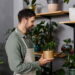 Plantas de interior que vão melhorar o ambiente da sua casa