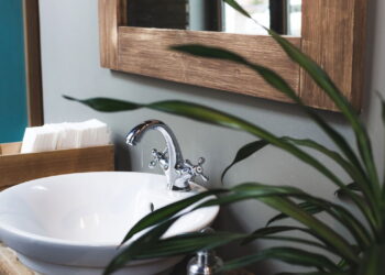 Essas são as plantas certas para ambientes úmidos