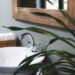 Essas são as plantas certas para ambientes úmidos