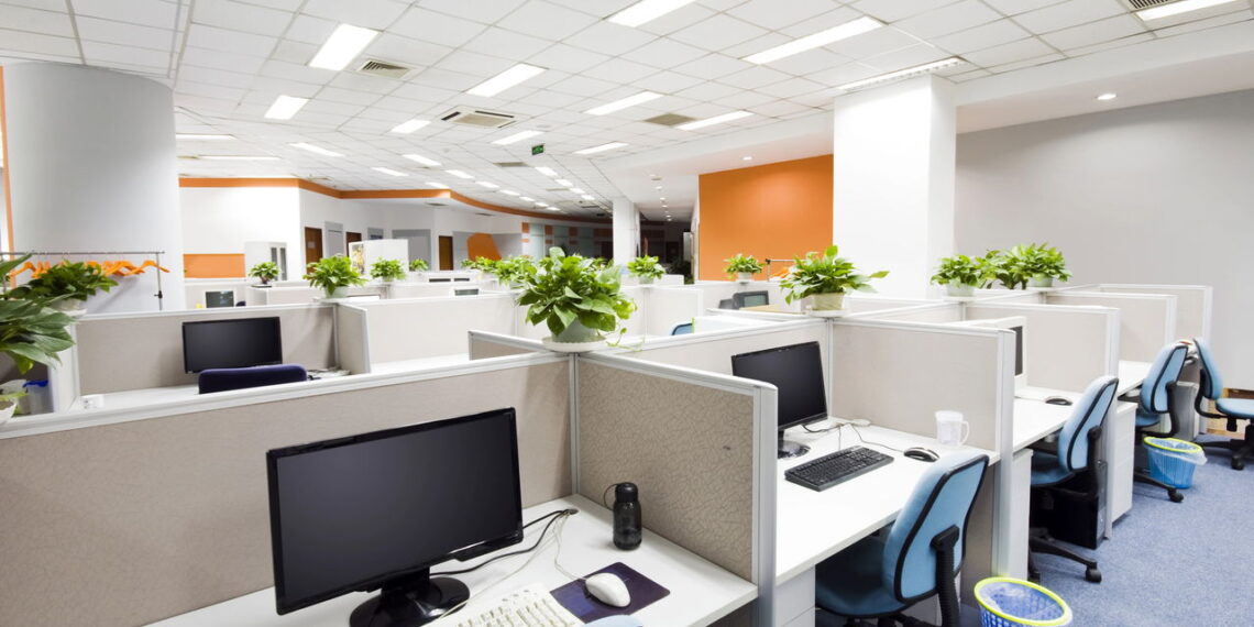 As 3 plantas perfeitas para ambientes de escritório e home office