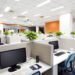 As 3 plantas perfeitas para ambientes de escritório e home office
