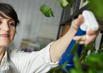 Qual é o melhor fertilizante natural para cada tipo de planta?