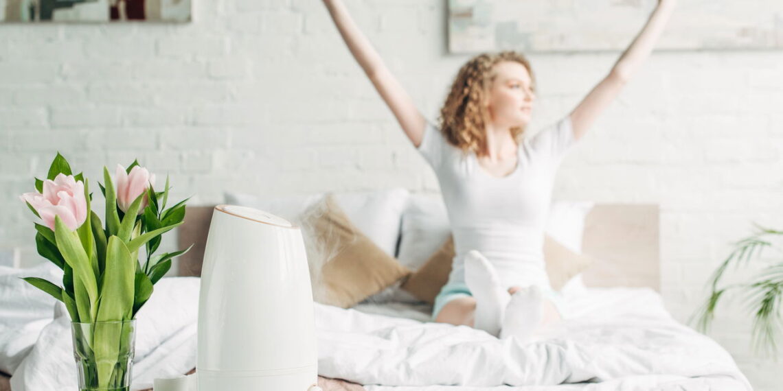 Ambiente limpo e natural com plantas que eliminam poluentes do ar