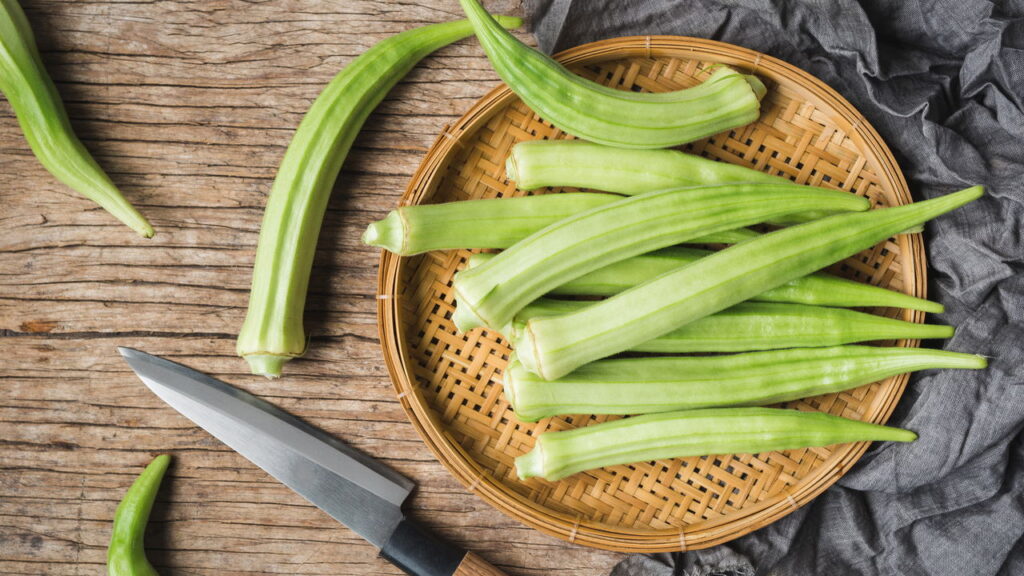 Planta nutritiva também é muito atrativa pela rapidez no cultivo!